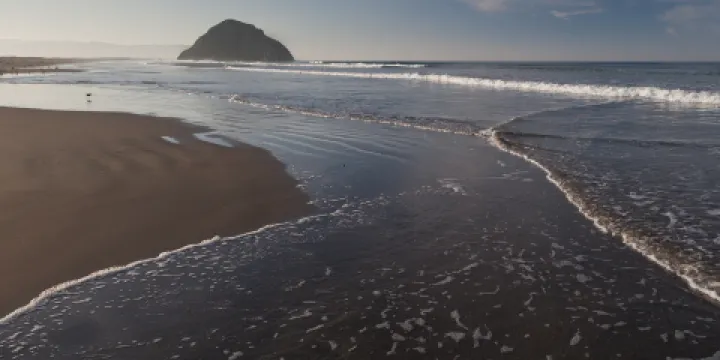 Morro Strand State Beach