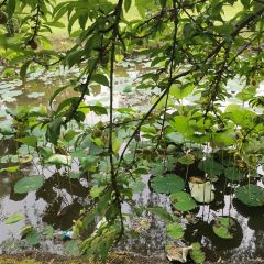 涉县微米电子商务有限公司 User Photo