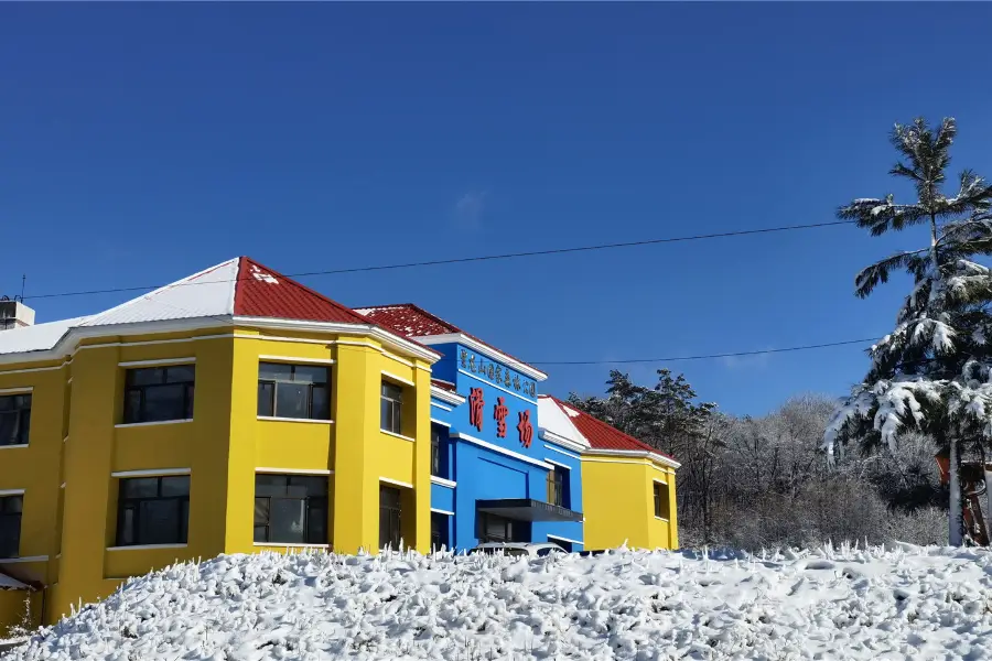 望龍山滑雪場