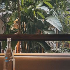 RuRuDiner User Photo