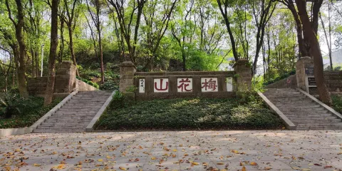 張自忠將軍墓