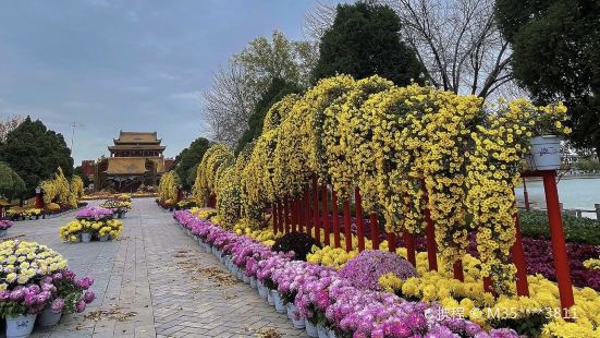 Longting Park Chrysanthemum Show