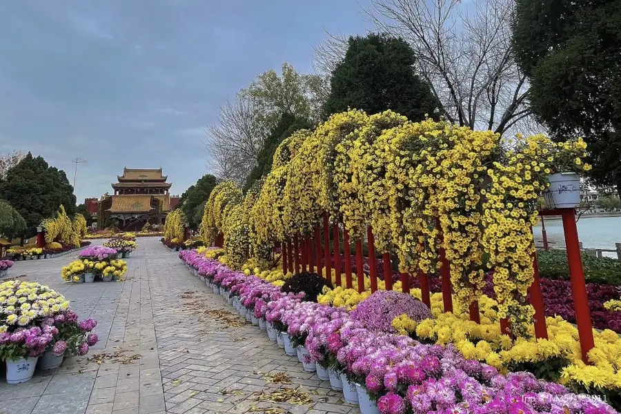 Longting Park Chrysanthemum Show