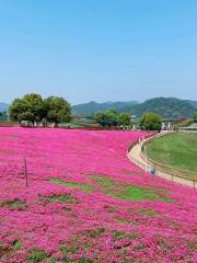 เมืองสายลมฤดูใบไม้ผลิสิบไมล์