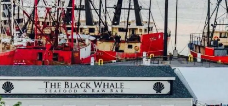 The Black Whale