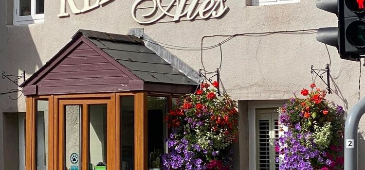The Red Lion