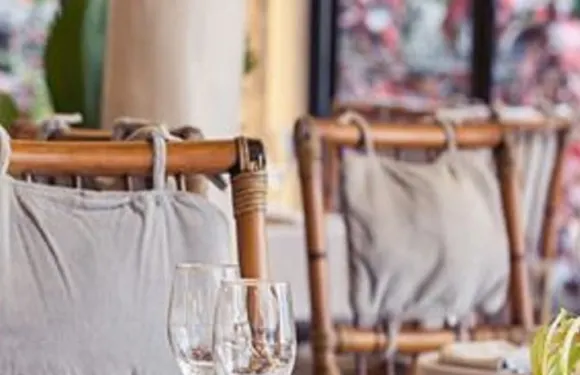 Golden Cowrie Coastal Italian