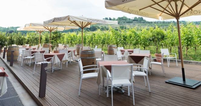 Signorvino Valpolicella