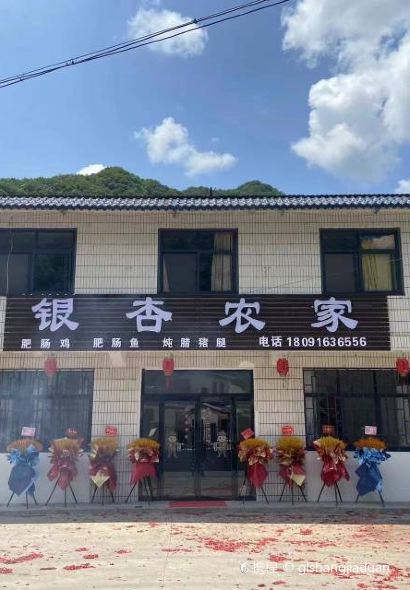 银杏农家