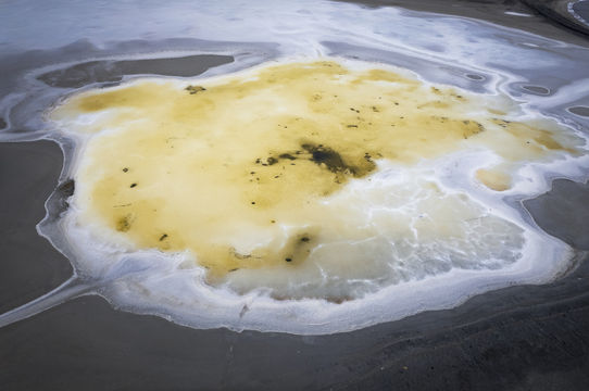 Erenhot Salt Lake