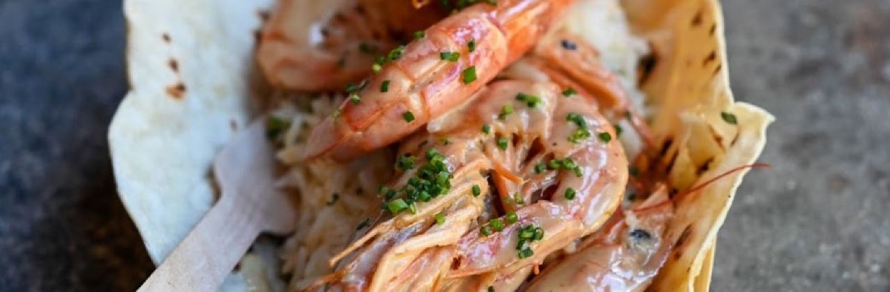 Knysna Oyster Company