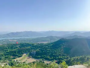 Jiulongyu