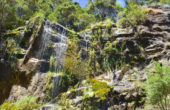 天脊山自然風景區門票成人