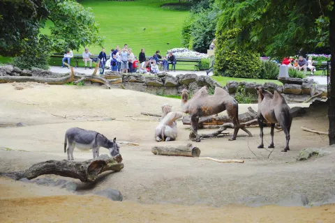 Zoo Antwerpen