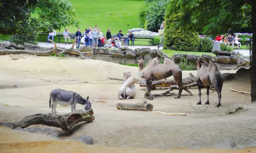 Antwerp Zoo