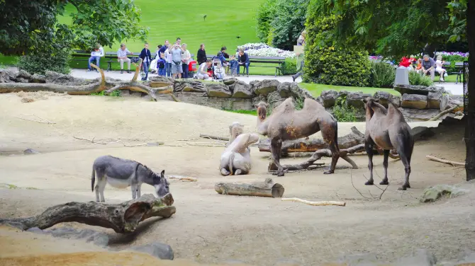 1_Antwerp Zoo