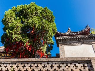 東港旅行 2泊3日 おすすめプラン
