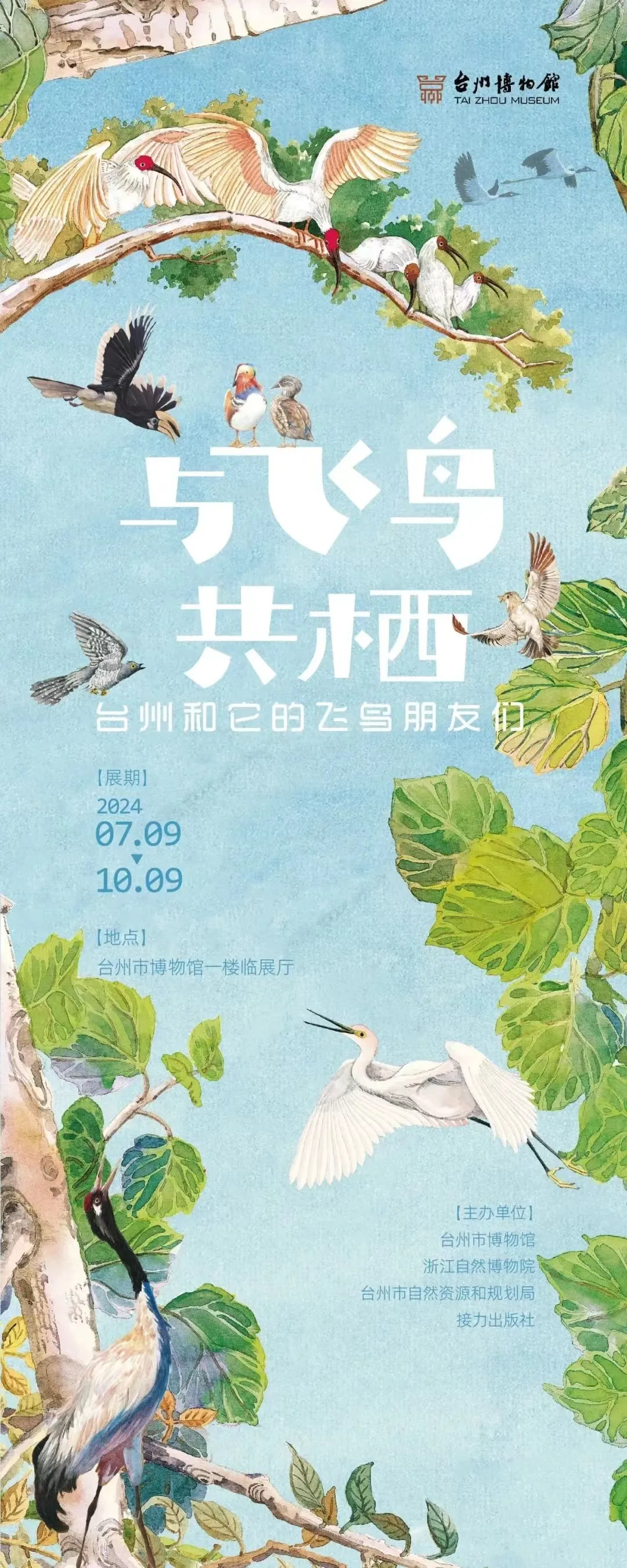 【台州】《與飛鳥共棲》展覽 | 台州市博物館