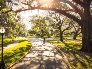 City Park