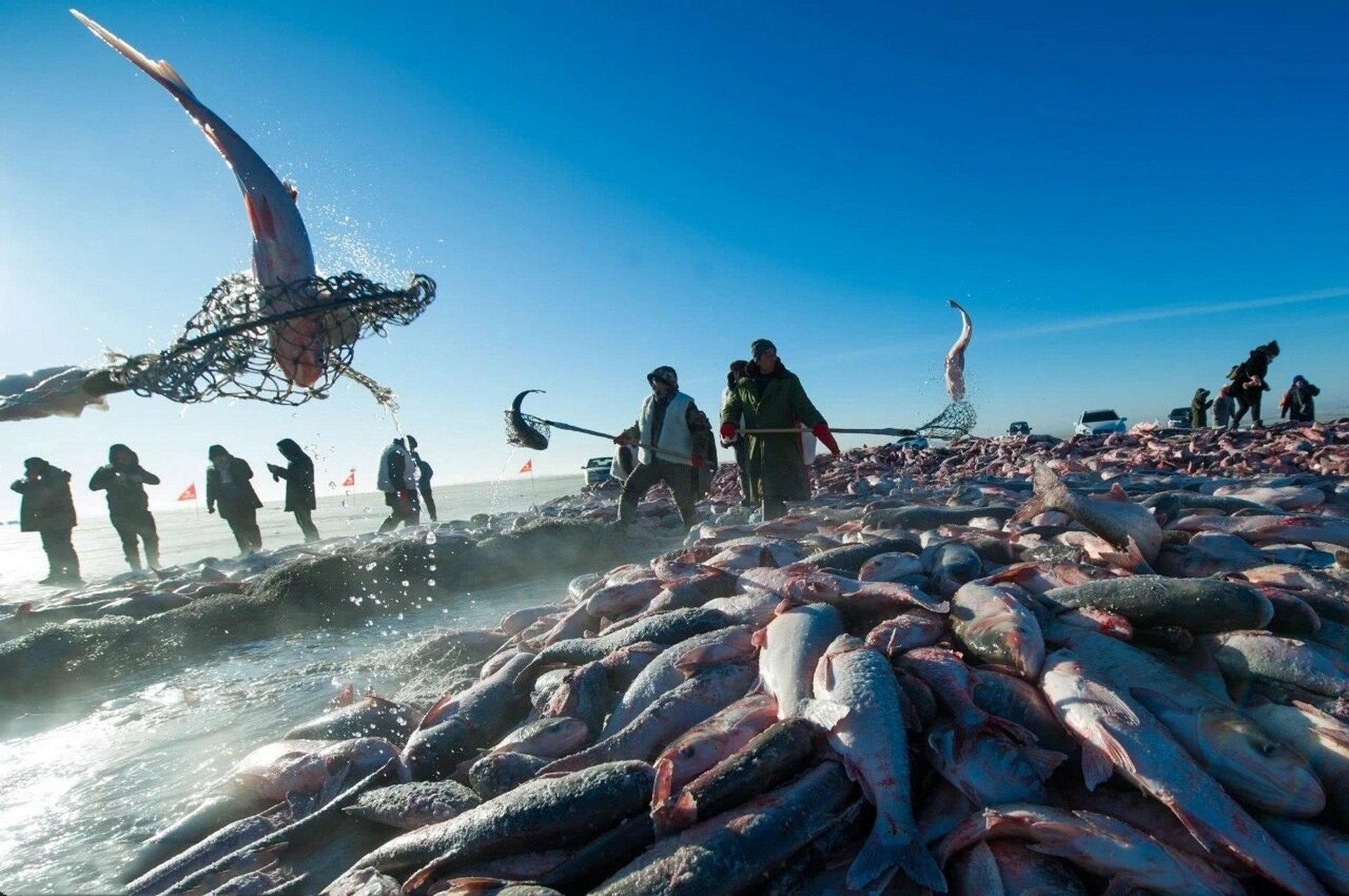The 23rd Chagan Lake Ice and Snow Fishing and Hunting Cultural Tourism Festival | Qianguo