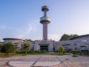 중국 양쯔 악어 관광지