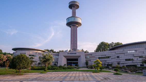 Chinese Alligator Lake