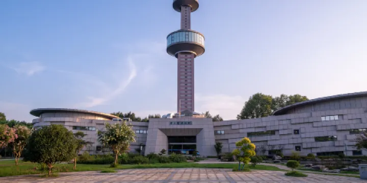 中國揚子鱷景區