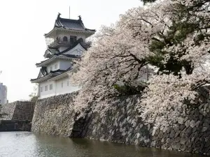 Toyama Castle Ruin Park