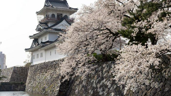 Toyama Castle Ruin Park