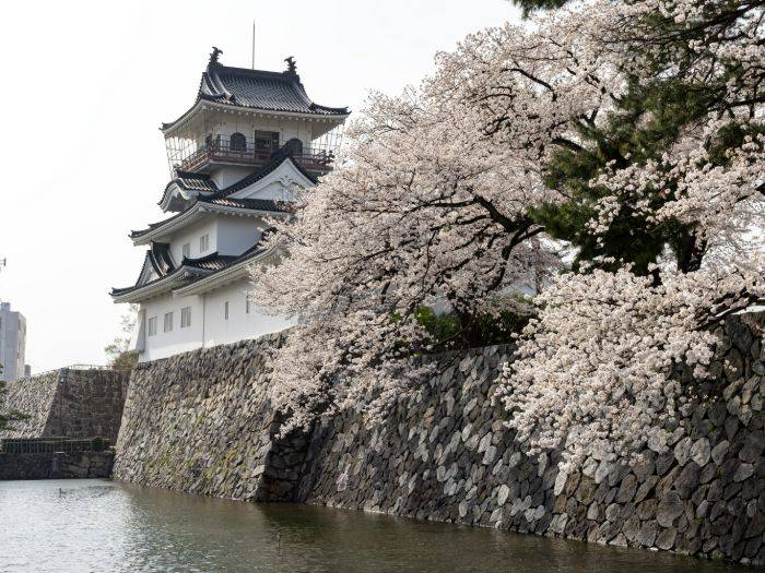 Toyama Castle Ruin Park