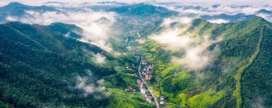 Tian Mu Mountain Scenic