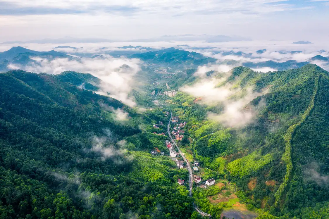 Hotels near Tian Mu Mountain Scenic