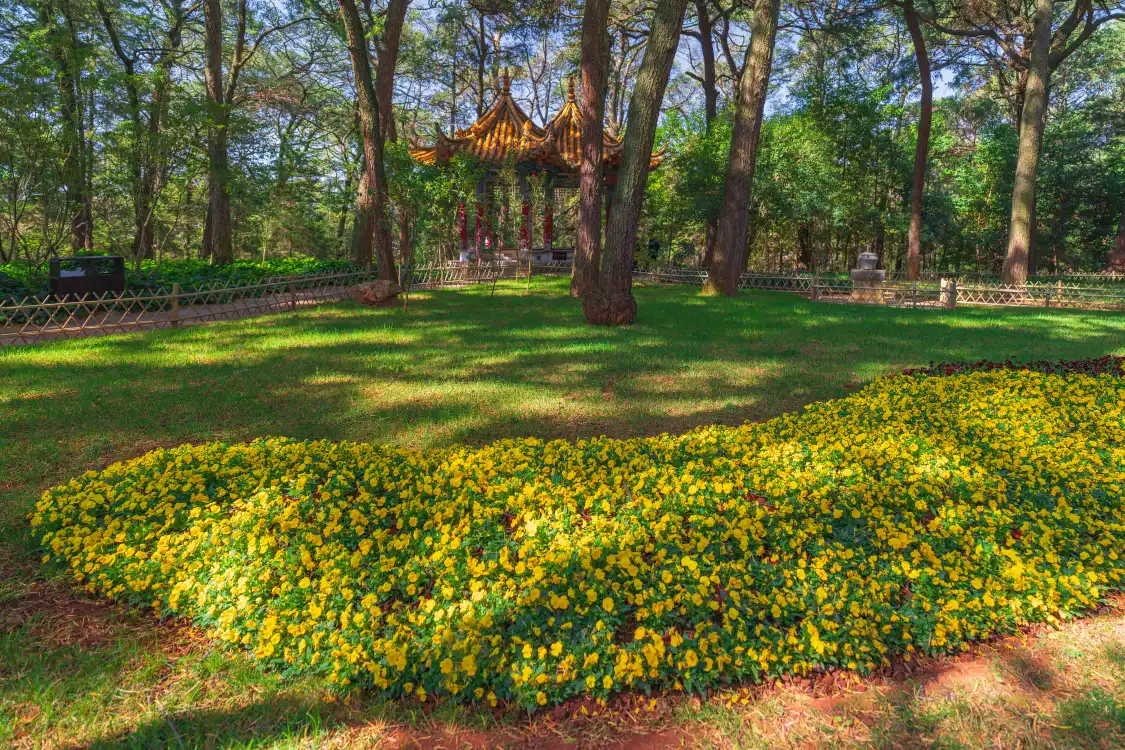 โรงแรมใกล้Jindian Park