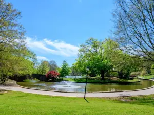 Fioriture Primaverili a Charlotte: le opzioni più popolari