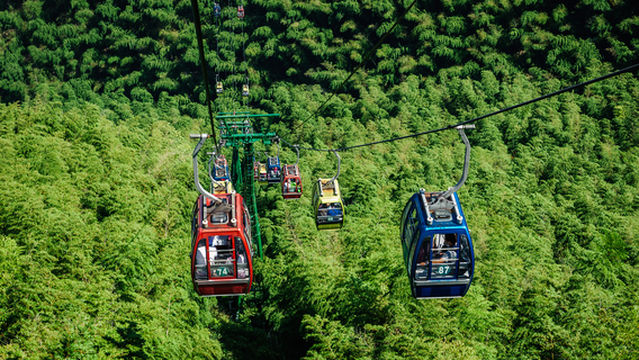Cableway in the Shunan Bamboo Sea