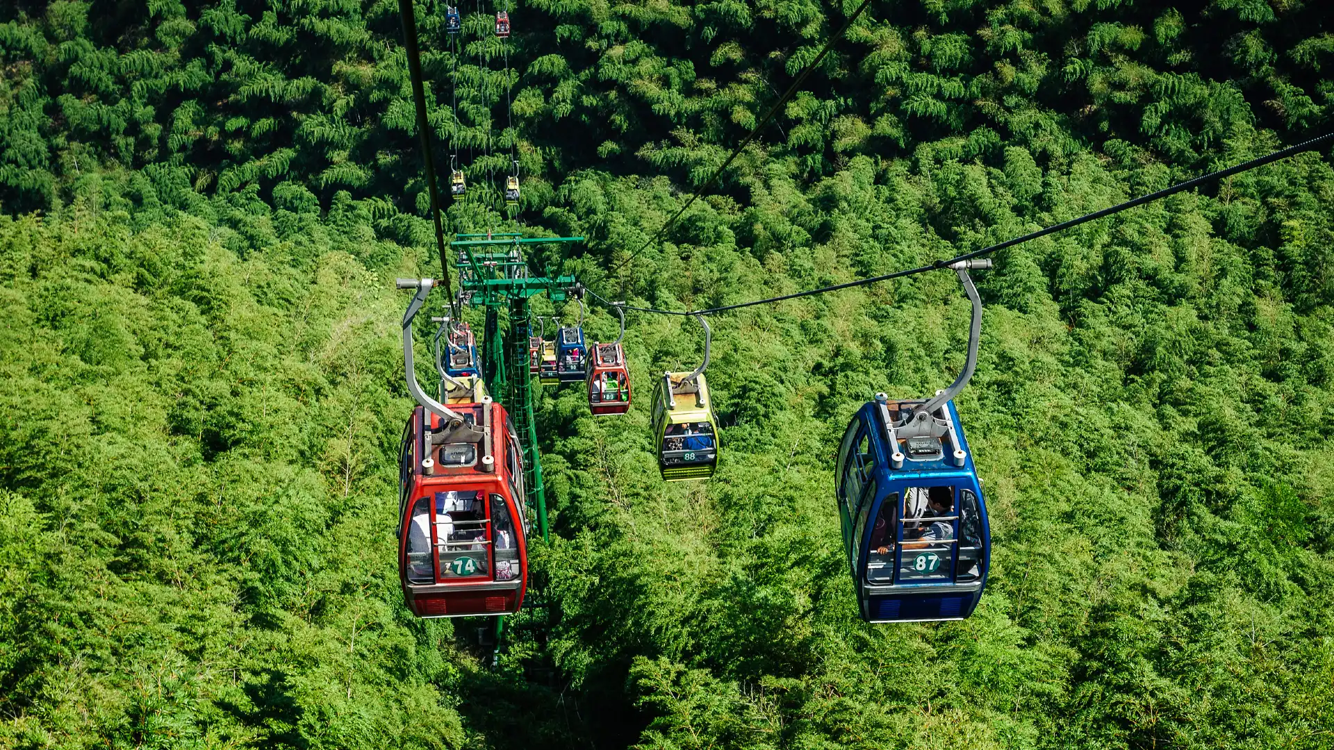 Hotels near Cableway in the Shunan Bamboo Sea