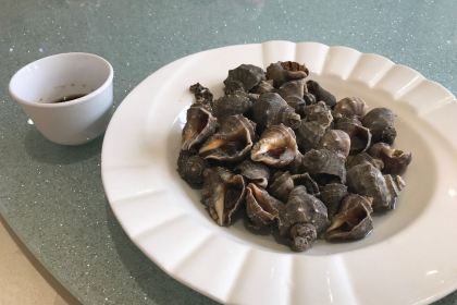 Shenhai Fishing Port