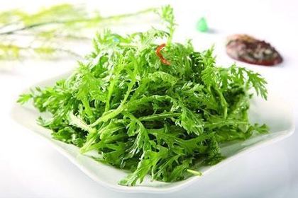 阿妈野生菌土鸡腊排骨·蒸汽石锅鱼