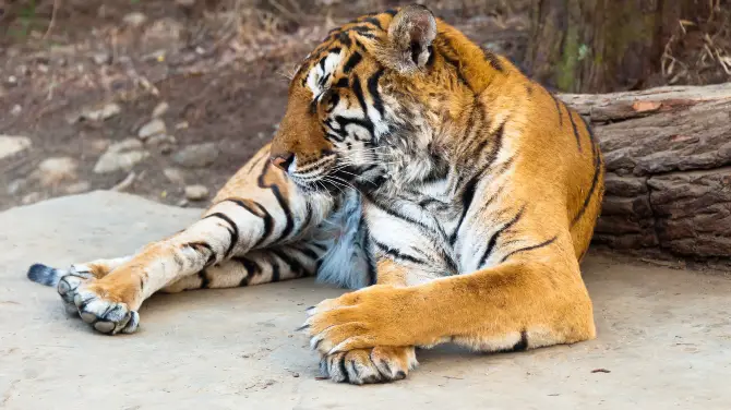 1_Seoul Zoo
