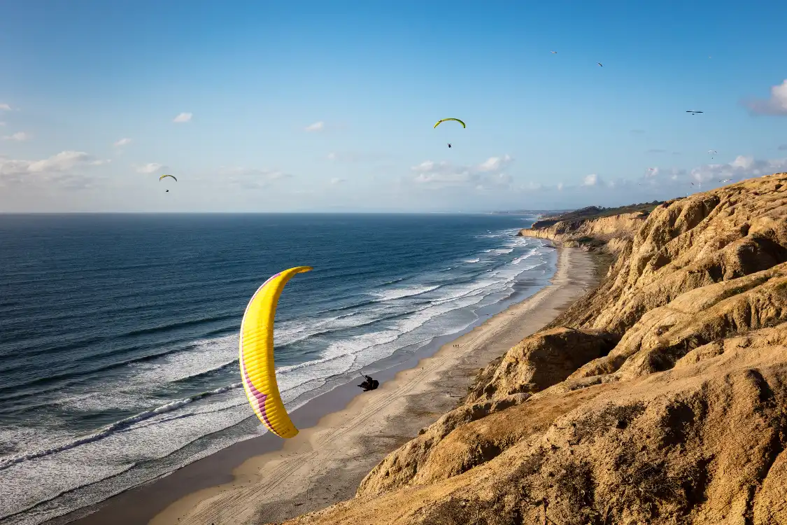 Hotels near Black's Beach