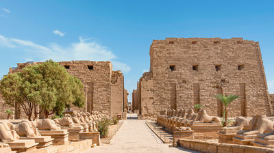 Ancient Thebes with its Necropolis