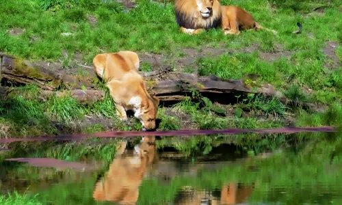 Woodland Park Zoo