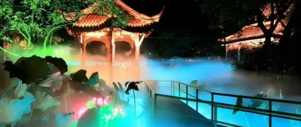 밤의 인기 장면