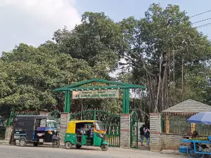 Dodda Aalada Mara