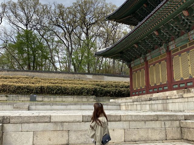 봄이 찾아온 창덕궁◡̈ 