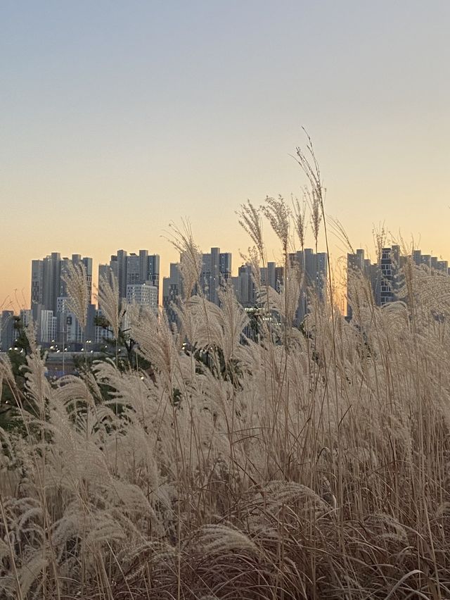 노을은 서해, 시흥 배곧신도시 노을은 서해, 시흥 배곧신도시