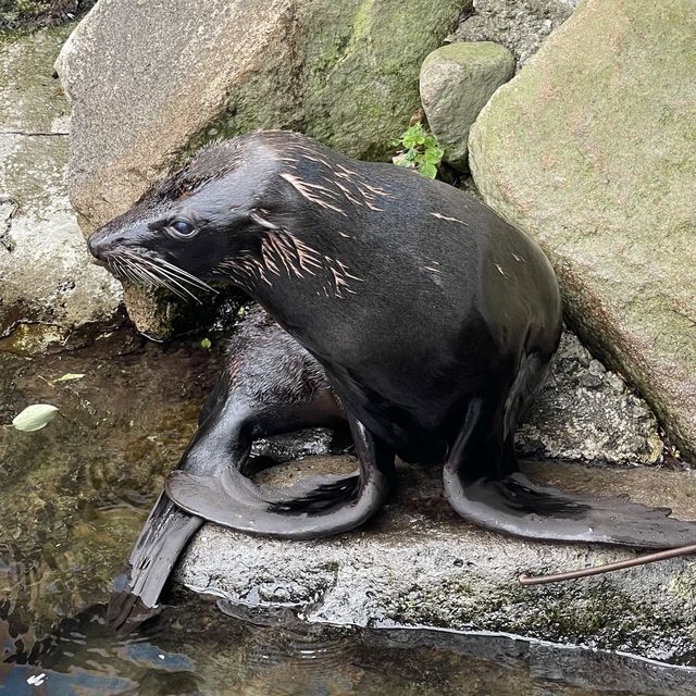 【北海道】日本一危険な動物園！