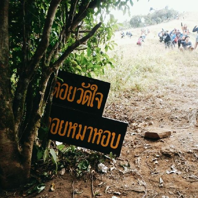 ดอยหมาหอบ จ.เชียงใหม่
