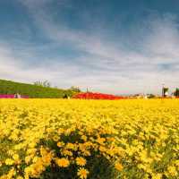ฟลอร่า พาร์ค วังน้ำเขียว จ.นครราชสีมา
