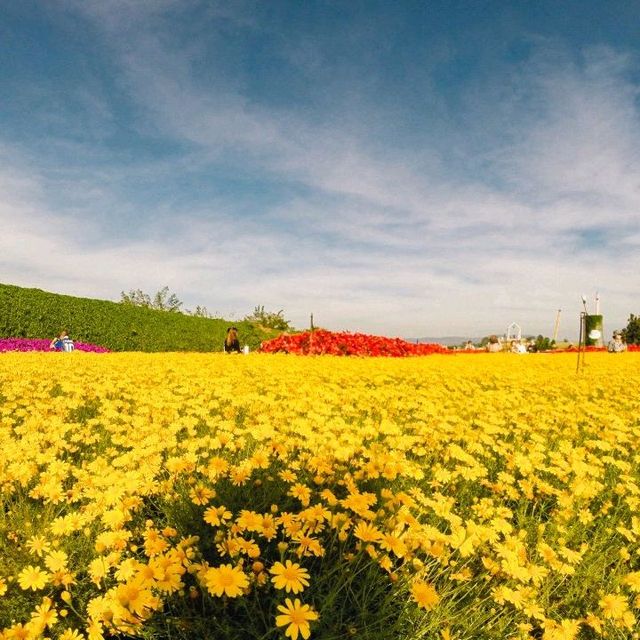 ฟลอร่า พาร์ค วังน้ำเขียว จ.นครราชสีมา
